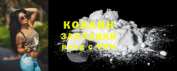 мдпв Снежногорск